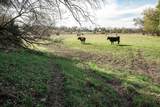 3034 County Road 463 - Photo 19