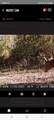2968 County Road 655 - Photo 20