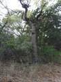 TBD School House Road - Photo 9