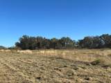 2714 County Road 147 - Photo 21