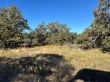 2714 County Road 147 - Photo 24