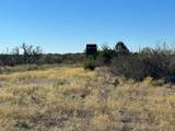 2714 County Road 147 - Photo 5