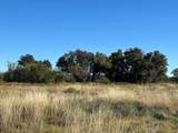 2714 County Road 147 - Photo 7