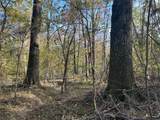 TBD County Road 1412 - Photo 15