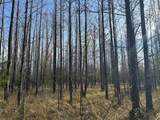 TBD County Road 1412 - Photo 8