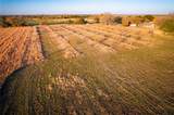 6187 County Road 570 - Photo 13