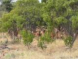 3063 Hells Gate Loop - Photo 30