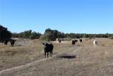 0000 County Road 207 - Photo 11