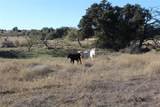 0000 County Road 207 - Photo 12