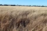 0000 County Road 207 - Photo 5