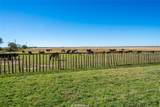 1466 County Road 270 - Photo 20