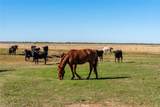 1466 County Road 270 - Photo 21