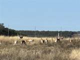 Lot 186 Blackbuck Ridge Drive - Photo 15