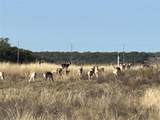 Lot 186 Blackbuck Ridge Drive - Photo 16