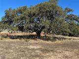 Lot 186 Blackbuck Ridge Drive - Photo 22