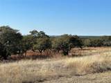 Lot 186 Blackbuck Ridge Drive - Photo 27
