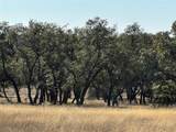 Lot 186 Blackbuck Ridge Drive - Photo 4