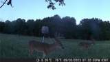 7380 County Road 266 - Photo 25