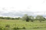 14.332 Ac Fm 406 Highway - Photo 4