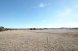 14.455 Ac Fm 406 Highway - Photo 7