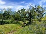 TBD County Road 432 - Photo 16