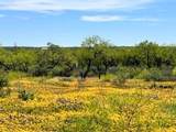 TBD County Road 432 - Photo 17