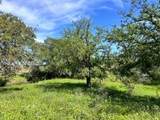 TBD County Road 432 - Photo 20