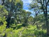 TBD County Road 432 - Photo 28