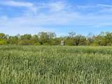 TBD County Road 432 - Photo 9