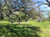 470 County Road 432 - Photo 12
