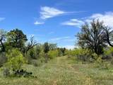 470 County Road 432 - Photo 40
