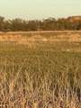 13582 Cr 433 - Photo 7