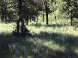 Lot 286 Cozy Cove Court - Photo 2