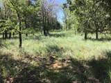 Lot 286 Cozy Cove Court - Photo 3
