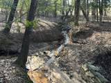 000 Cr 4915 Road - Photo 21