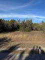 44125 Cedar Hill Drive - Photo 1