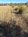 1190 State Hwy 220 - Photo 13