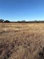 1190 State Hwy 220 - Photo 5