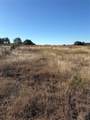 1190 State Hwy 220 - Photo 6