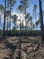 Tract A County Road 4037 - Photo 15