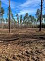 Tract A County Road 4037 - Photo 17