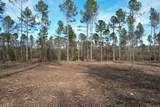 Tract A County Road 4037 - Photo 3