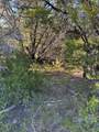 43002 Whisperwood Drive - Photo 10