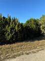 43002 Whisperwood Drive - Photo 12