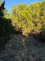 43002 Whisperwood Drive - Photo 15