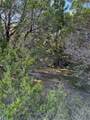 43002 Whisperwood Drive - Photo 9