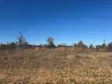 16643 Ridgeline Loop - Photo 1