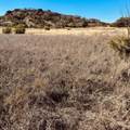 1947 Hidden Valley Road - Photo 2