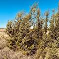 1947 Hidden Valley Road - Photo 4