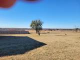 4446 Fm 607 - Photo 3